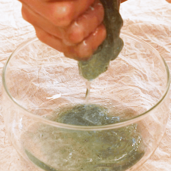 Arencia Holy Hyssop Serum 12